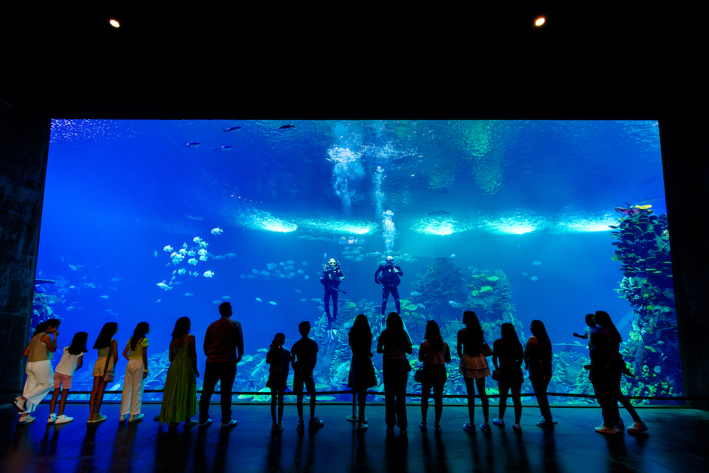 Gran Acuario Mazatlán